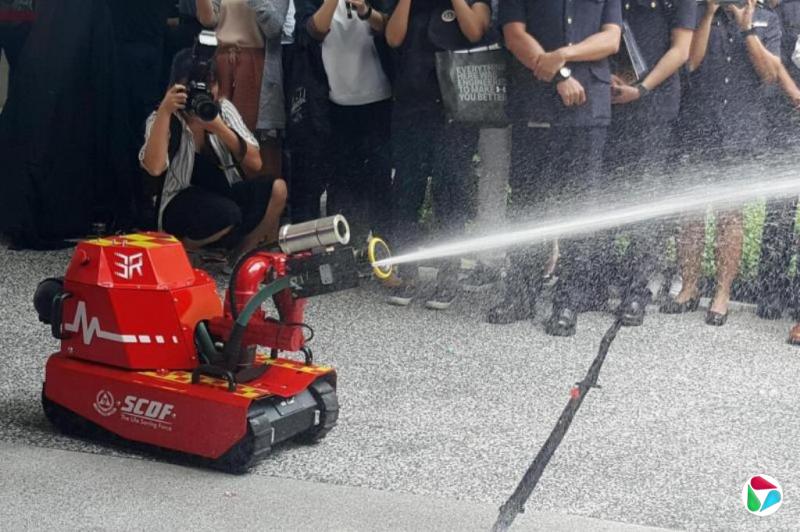 陈柏珲:面对“新物种”:新加坡与中国的不同路径