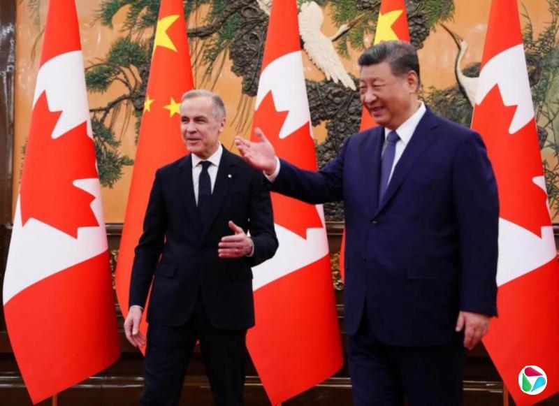 习近平会卡尼:中加关系健康稳定发展符合两国利益