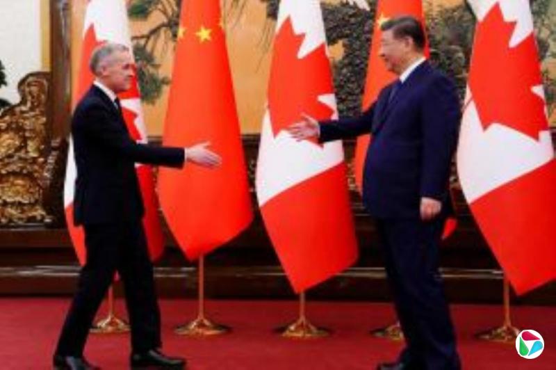 中国进口商采购加拿大油菜籽 澳洲出口预期受挫