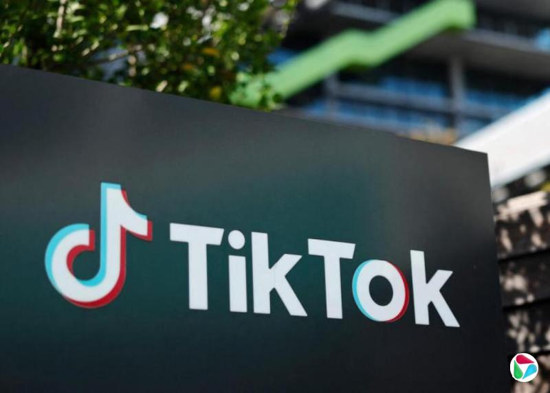 质疑TikTok新数据安全公司 民主党参议员促国会彻查交易
