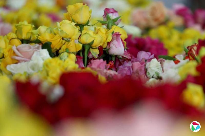 陈芝贤:婚姻是坟墓还是天堂?