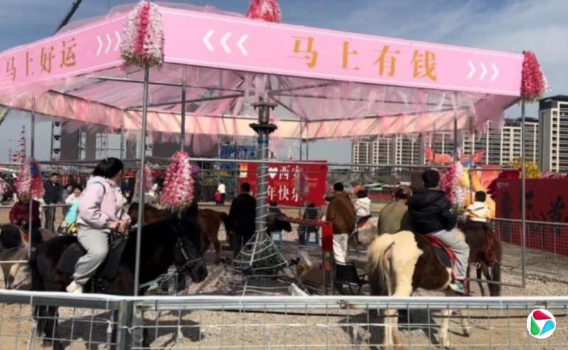 西安一景区推出“旋转真马” 被质疑虐待动物