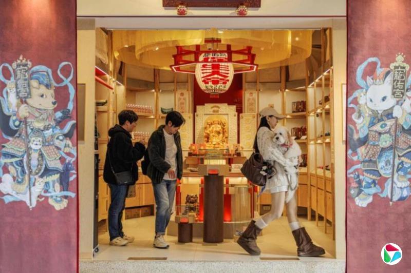 【图集】台湾现宠物专属宫庙 “毛小孩”拜保生大帝祈福
