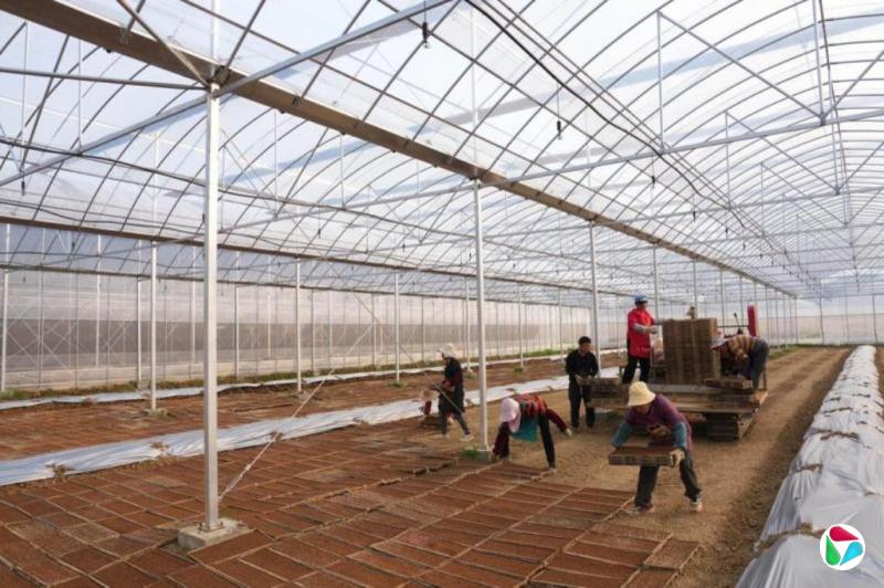 中国提前动用化肥储备 应对全球供应链冲击