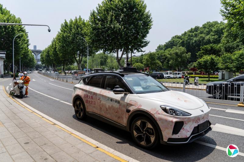 2024年,中国武汉一辆绘有花卉图案的百度萝卜快跑网约车。这些车辆已成为武汉街头常见的景象。