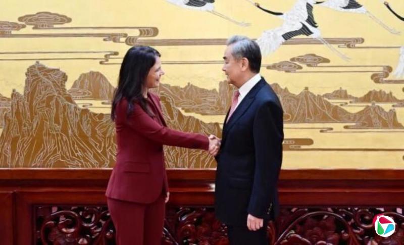 王毅:面对强权霸凌 不能任由谁拳头硬谁说了算