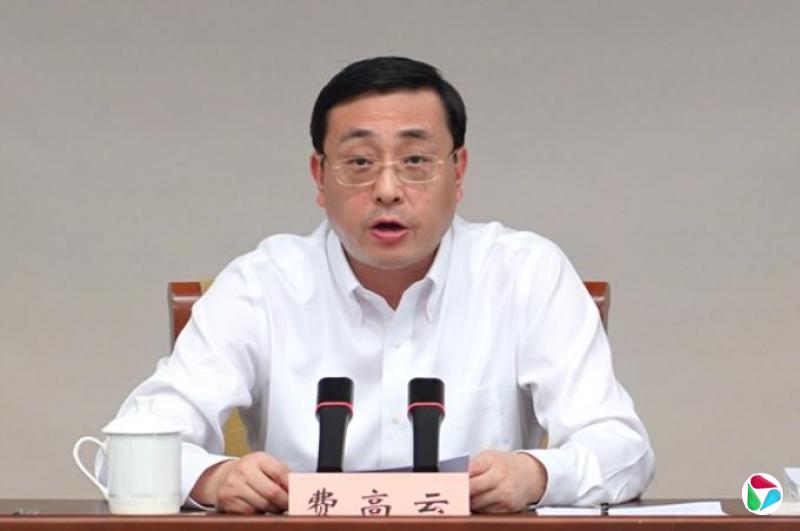 打虎!合肥市委书记费高云被查