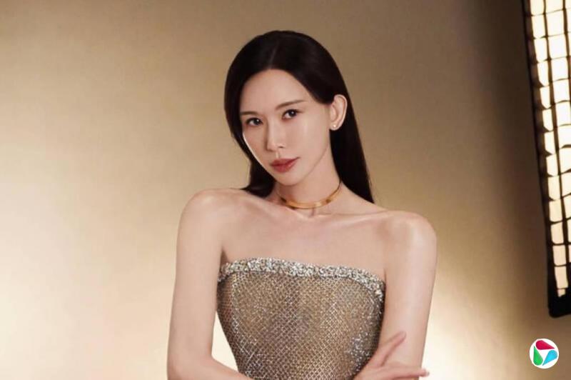 台媒:林志玲6月任台文策院董事