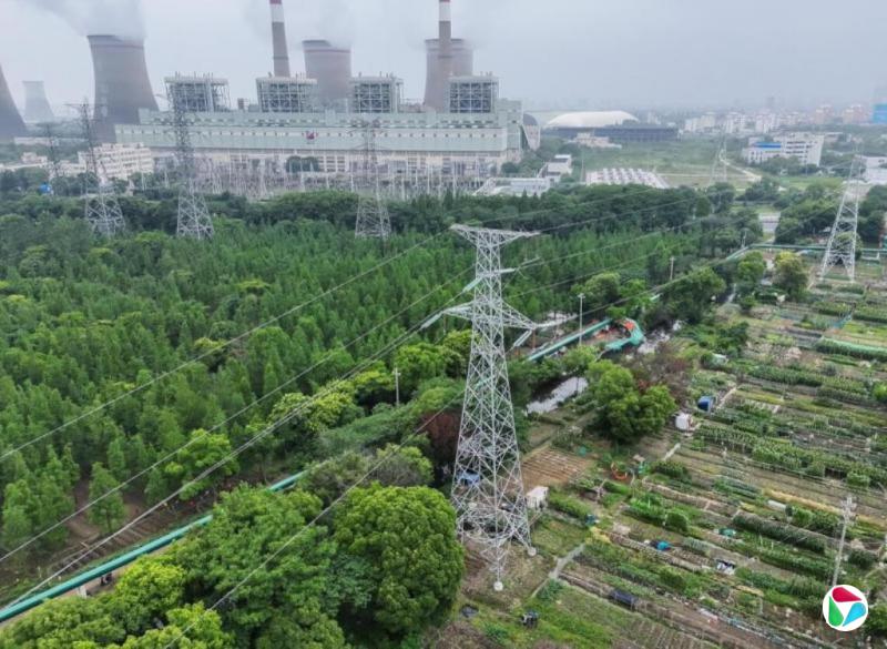 研究:中国改碳排放算法 压缩近五年一半排放增幅