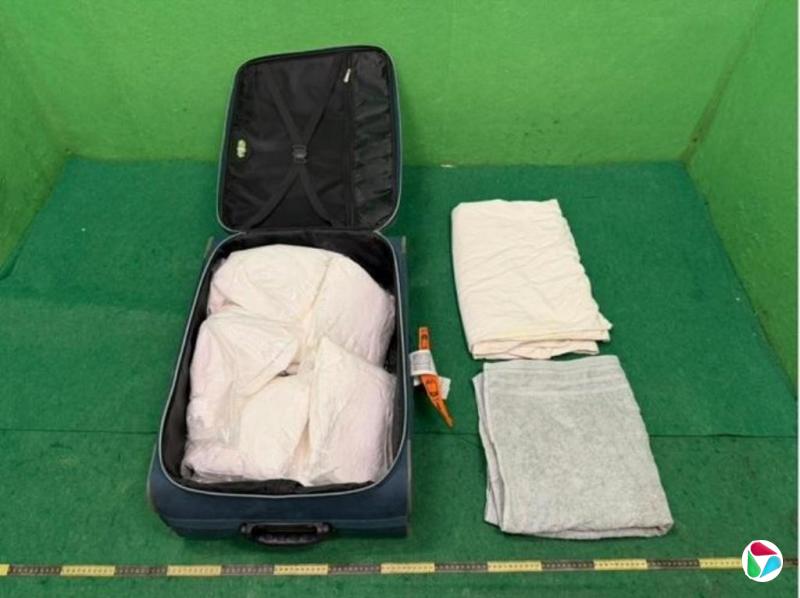 香港海关侦破两起行李藏毒案 检获1600万港元毒品