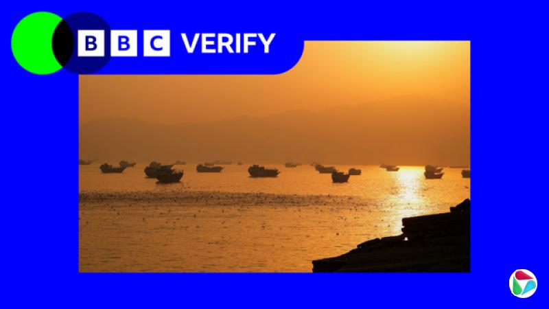 ����ʱ�֣�����ľ�Ⱥ�Ͽ�ϵĴ�ֻ