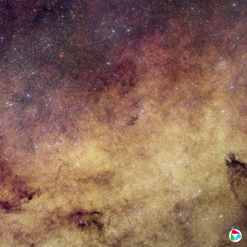 ������Ӻ���Ĺ��Ӱ���������Կɼ����������󡢽�������ߵ�����ϵ������Ƭ��