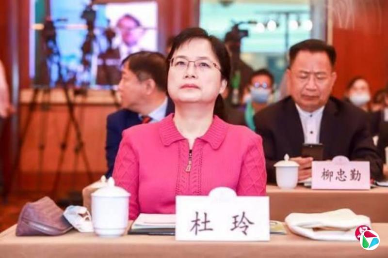 广东总工会原副主席杜玲被查 据报涉马兴瑞前大秘郭永航案