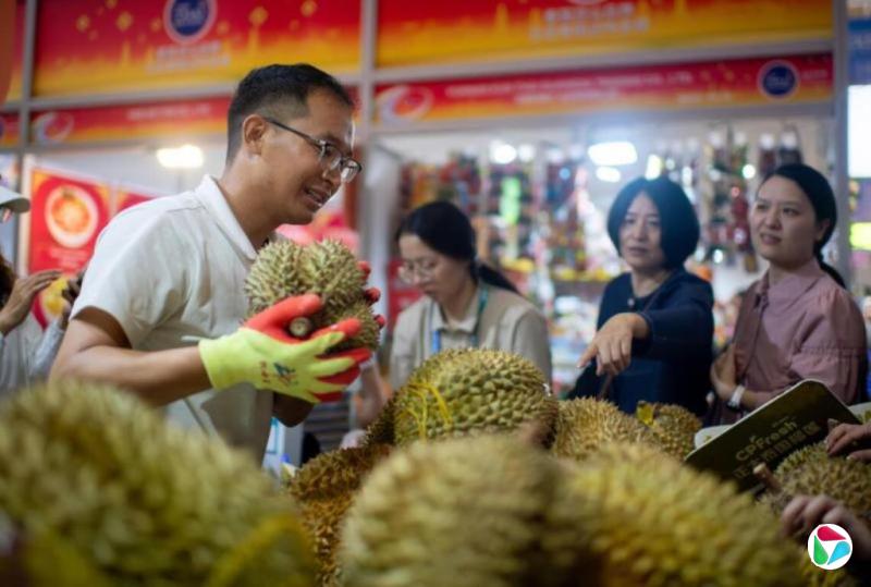 特稿:东南亚产量激增 中国“榴梿自由”分化