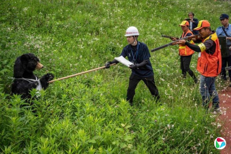 日本利用无人机 应对乡村地区熊害