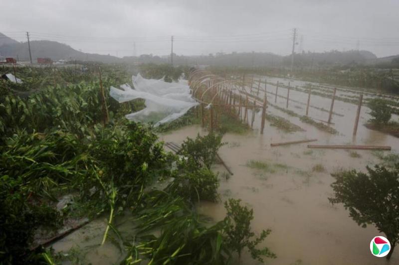 台风“巴威”减弱为强热带风暴 福建浙江多地交通恢复