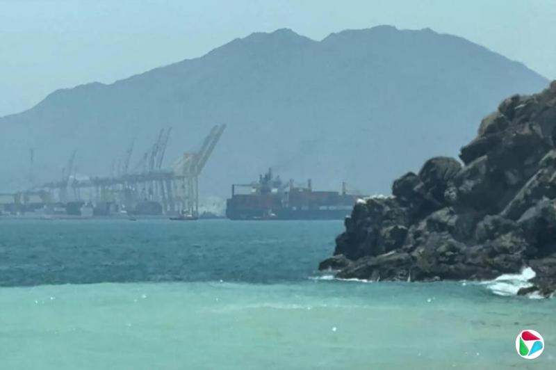 阿迪勒·马利克、贾迈勒·易卜拉欣·海德尔:海湾地区为何须要与伊朗建立经济联系