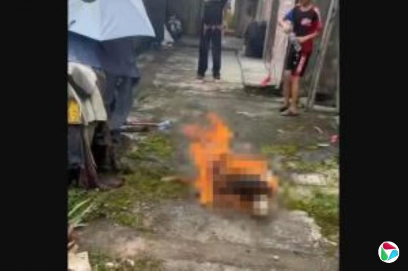 山西省曝连环虐狗案 两只狗遭人为大面积剥皮身亡