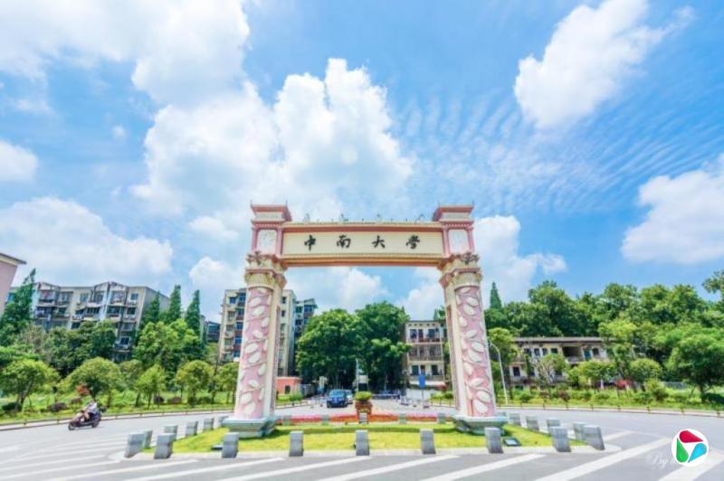 中南大学成立调查组 核查硕士论文抄袭举报