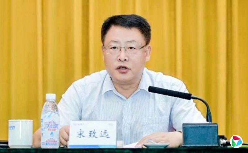 打虎!宋致远被查