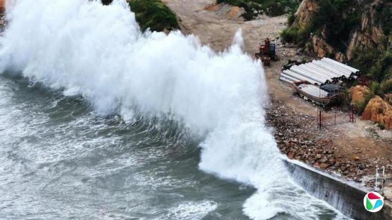 在福建省连江县黄岐镇,白海豚台风逼近之际,巨浪拍打海岸(8/8/2026)