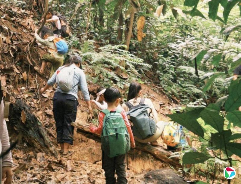 何颖舒:规划森林,也是在规划孩子的未来