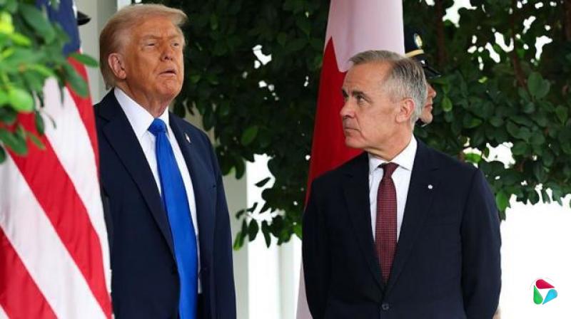 2025��10�£�������ͳ���ɵ¡� �������ڰ׹�������Ļ�ӭ��ʽ������ô��������ˡ����ύ̸��