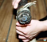 �Ƶ����й�����ͨ����ϸ������ �������о������̫ƽ���¹���