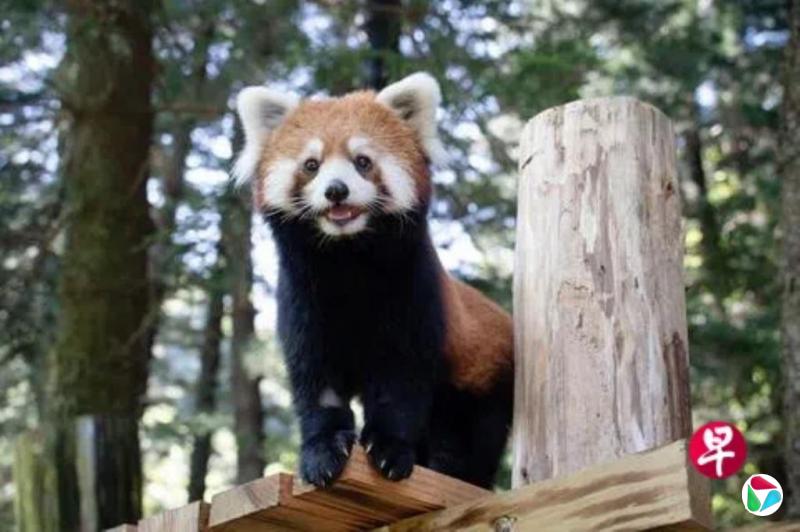 台媒:陆委会再拒上海台办副主任入台 双城论坛蒙阴影