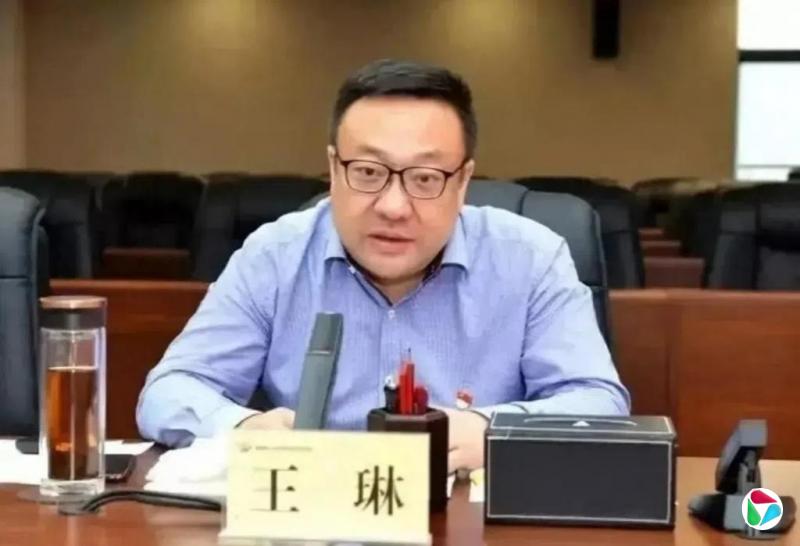 中共乌鲁木齐市委书记王琳任新疆党委副书记