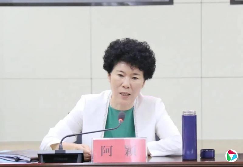 通过民间借贷获大额回报 南阳原副市长阿颖被开除公职