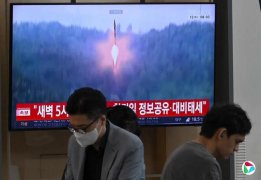 ����һ����������뵺���������䵼��