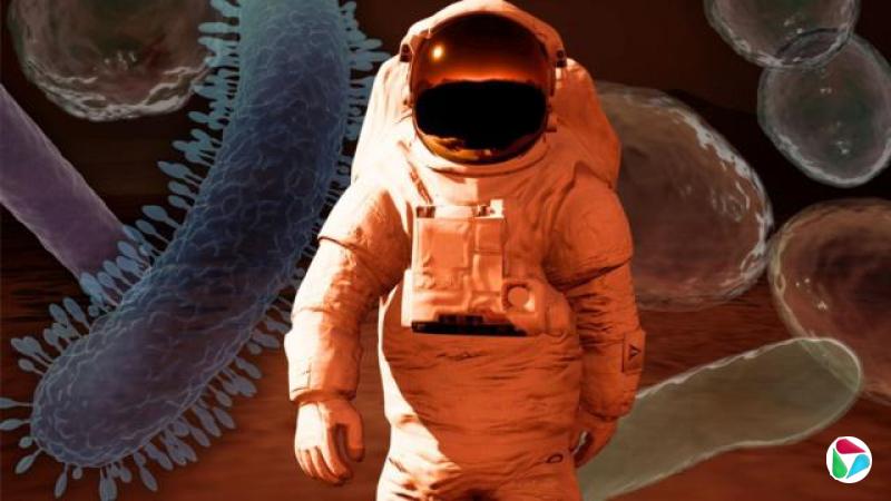 一幅概念图,显示一名太空人在火星上行走,四周遍布不同形状和颜色、被放大呈现的微生物。