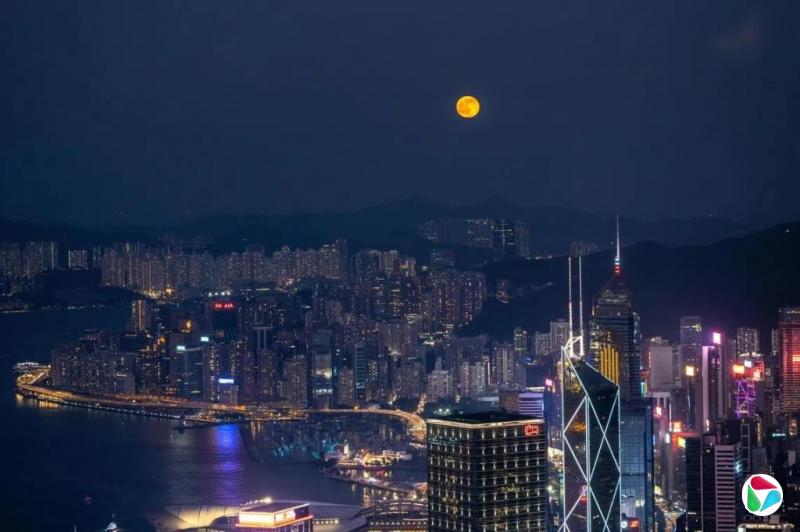 香港8月零售业总销货价值连续16个月同比上升