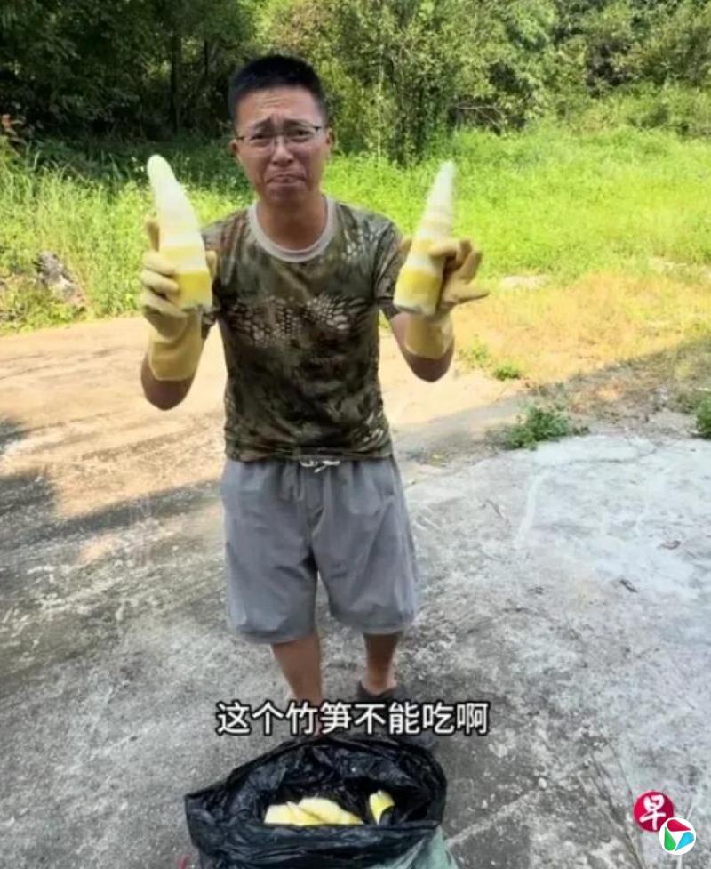 中共中央政法委:甲醛白菜等冲击食安底线 要下猛药出重拳