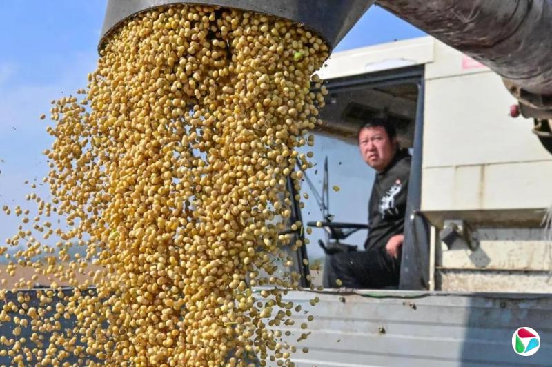 中粮油脂总会计师:大豆压榨行业产能过剩问题突出