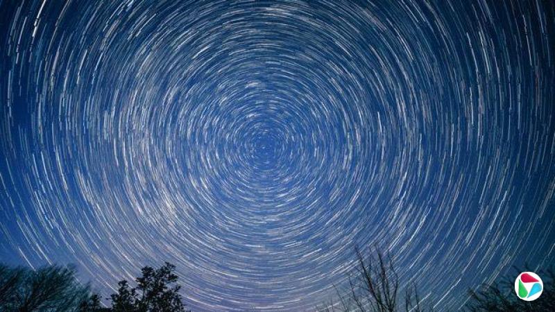 一张夜空长时间曝光照片,显示星轨围绕着一个中心点呈圆形运动;天空呈中等蓝色,多棵树木的树梢沿着画面底部可见。
