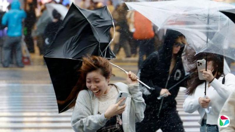 日本东京新宿街头,几位年轻女士在台风杜鹃的强风中举伞前行,雨伞被吹翻,略显狼狈(21/9/2026)