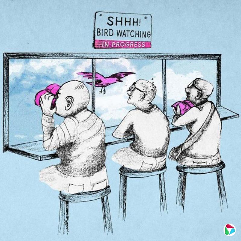 一幅手绘风格插图描绘三名长者坐在高脚椅上,透过一个大型观景窗观察户外的鸟类。左侧一人手持粉红色双筒望远镜,中间一人直接望向窗外,右侧一人则把粉红色望远镜放在身前。窗外天空以浅蓝色和白色笔触描绘,一只粉红色鸟类正从窗前飞过。观景窗上方悬挂一块告示牌,写有“SHHH! BIRD WATCHING IN PROGRESS”(嘘!正在观鸟中)。